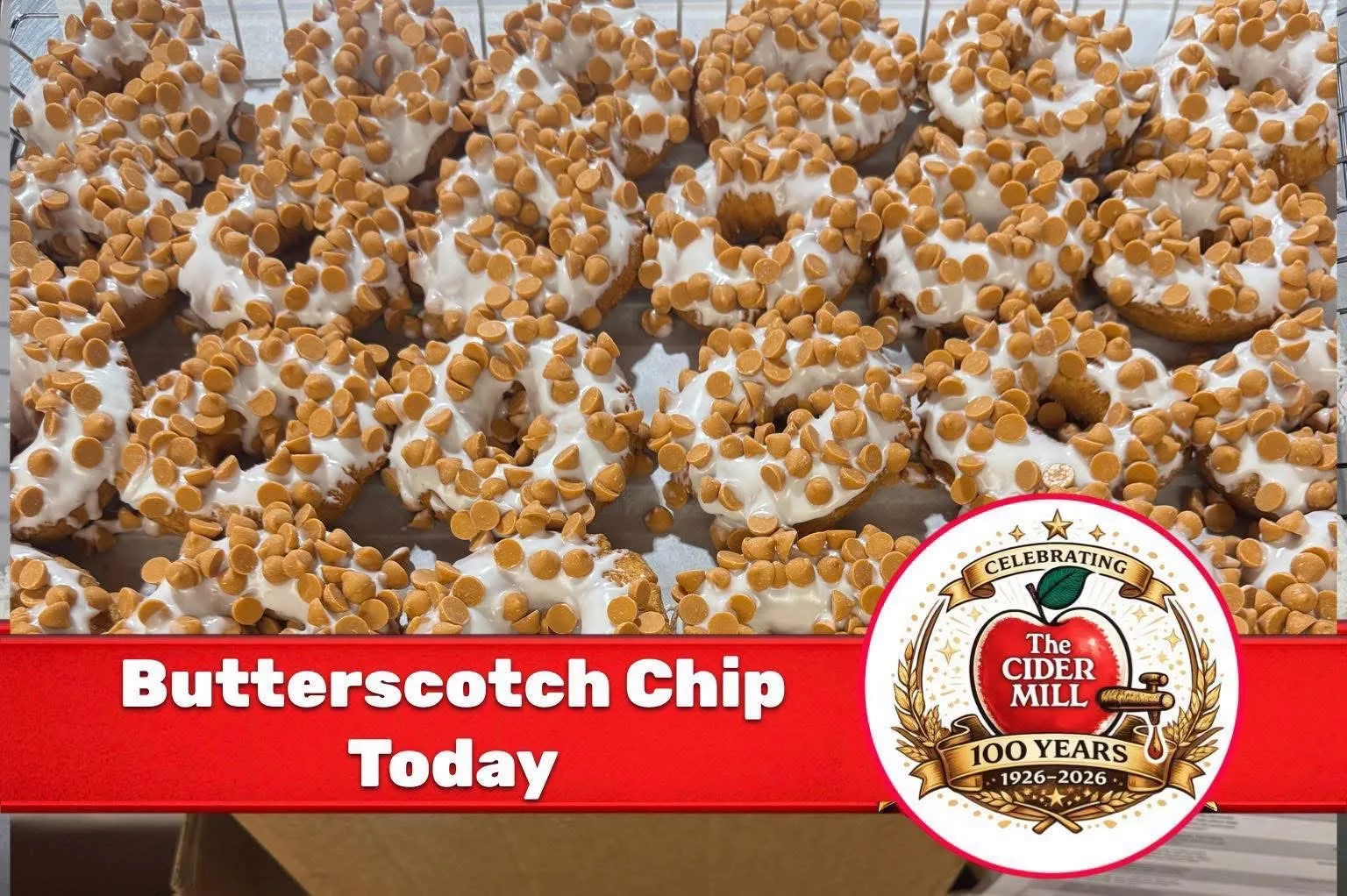 Butterscotch Chip