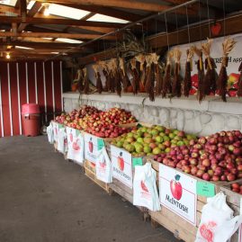 prefooter-cider-mill