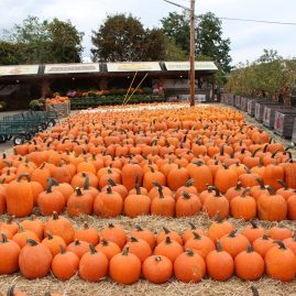 prefooter-cider-mill