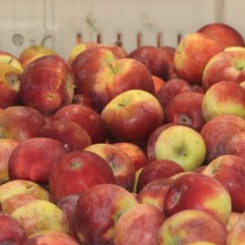 prefooter-cider-mill
